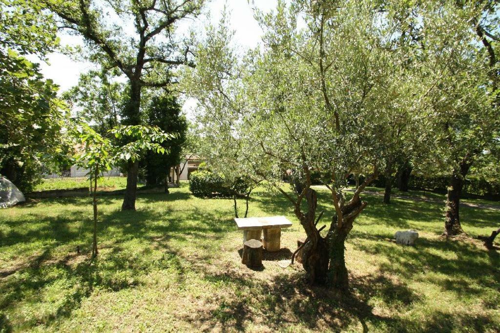 Haus Gasparini Porec Bagian luar foto
